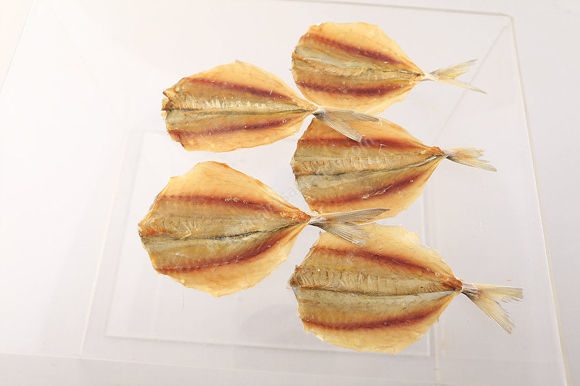 Фото сушеной рыбы желтый полосатик