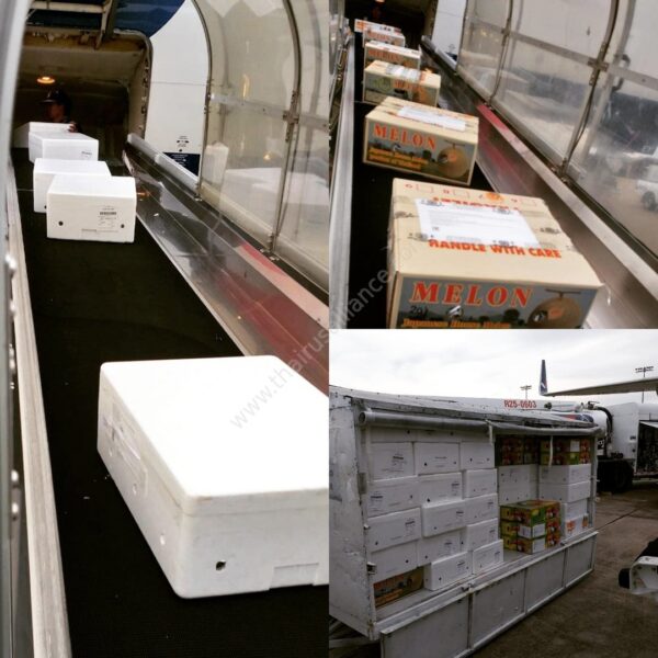 Импорт фрукты и овощи из Таиланда в Россию